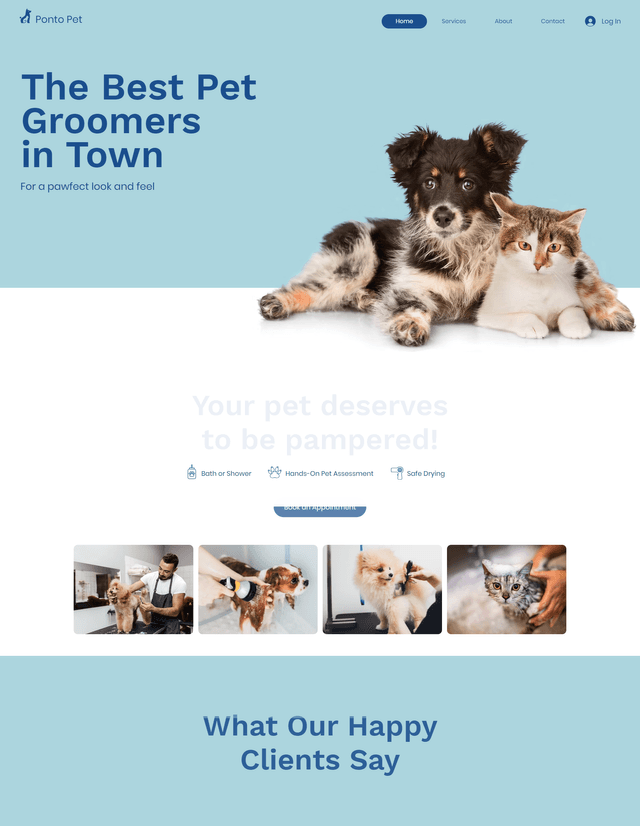 Ponto Pet template preview